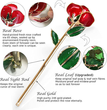 Gold Dipped Infinity Rose