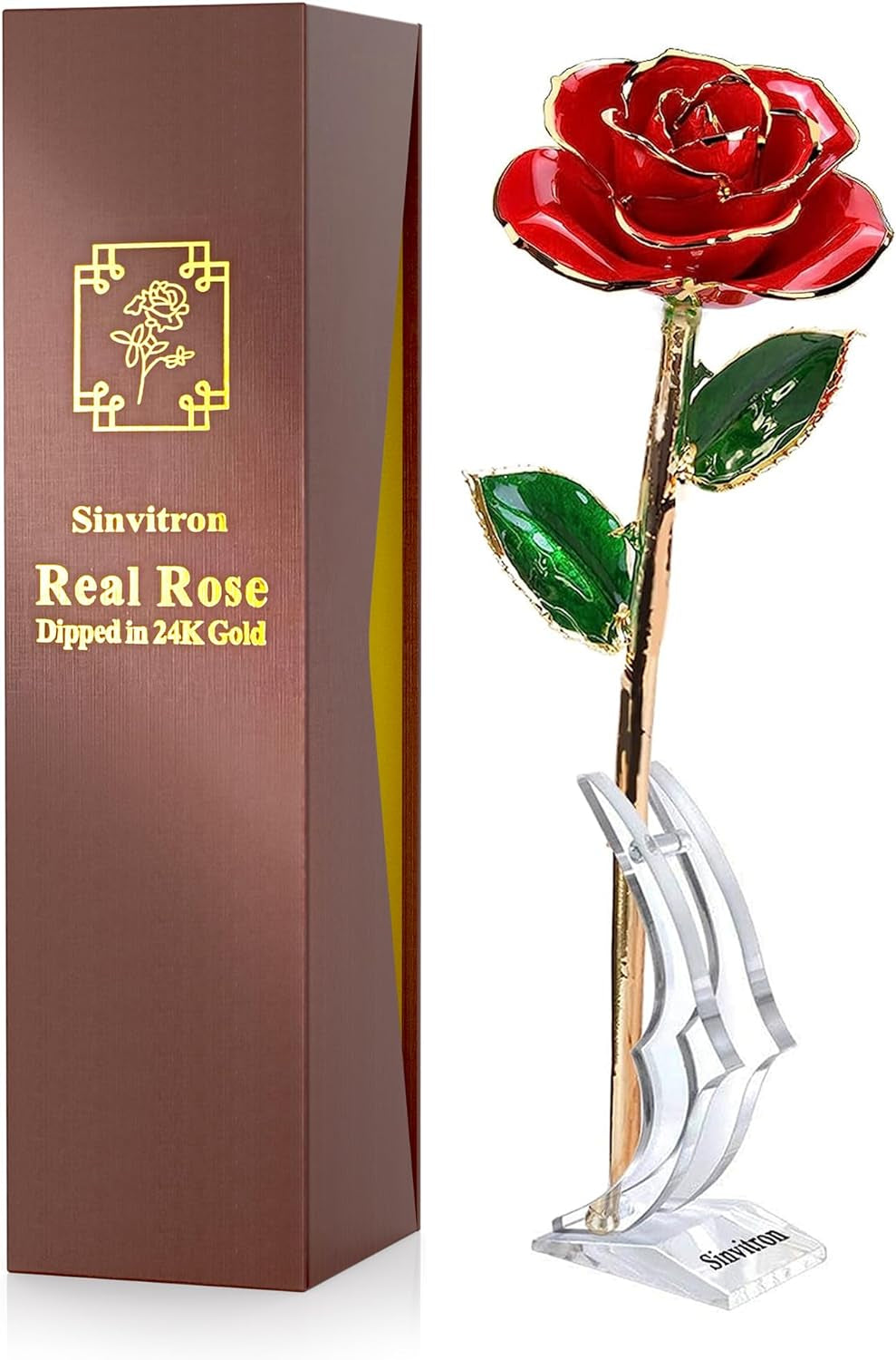 Gold Dipped Infinity Rose