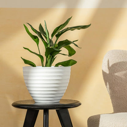 Flower Pot Outdoor/Indoor Planter