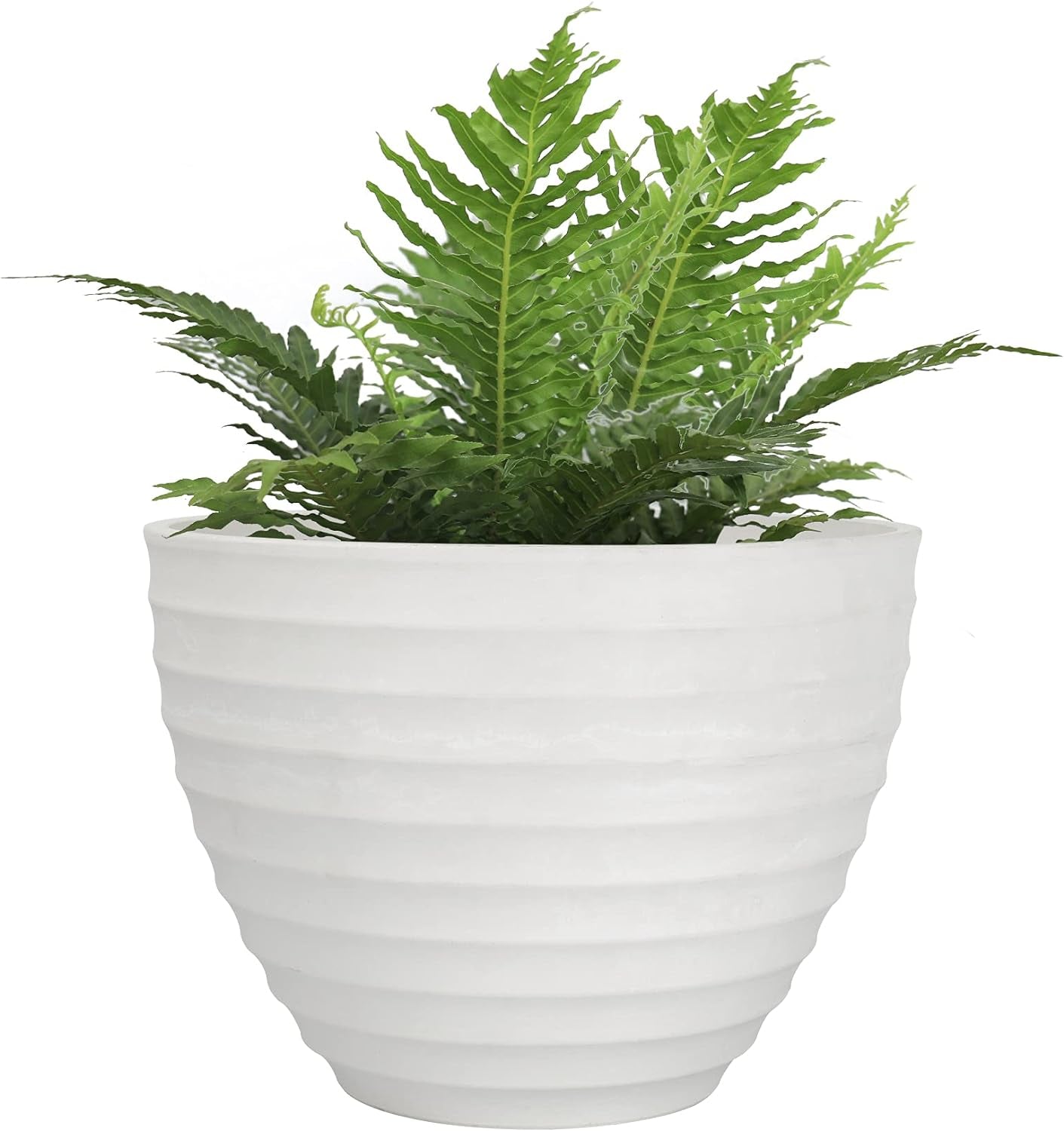 Flower Pot Outdoor/Indoor Planter